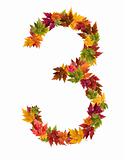 The number 3 made from autumn maple tree leaves