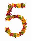 The number 5 made from autumn maple tree leaves