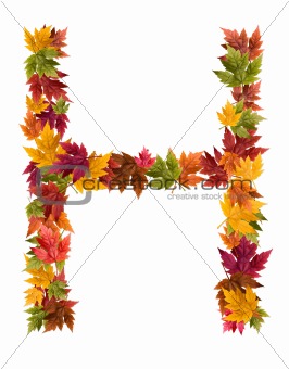 The letter H made from autumn maple tree leaves