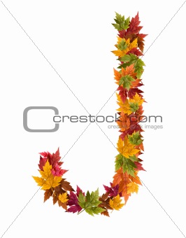 The letter J made from autumn maple tree leaves