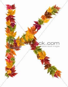The letter K made from autumn maple tree leaves