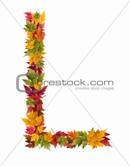 The letter L made from autumn maple tree leaves
