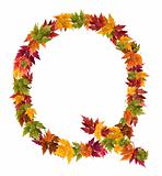The letter Q made from autumn maple tree leaves