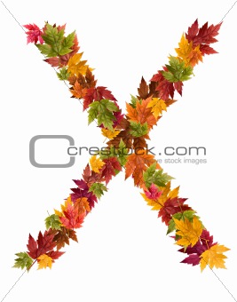 The letter X made from autumn maple tree leaves