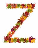 The letter Z made from autumn maple tree leaves