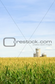 Corn field with silos