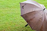 Brown umbrella on green grass
