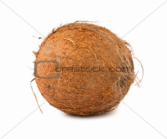 Brown hairy coconut