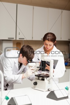 Portrait of a scientist looking in a microscope while another is taking notes