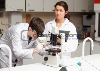 Portrait of a scientist looking in a microscope while his colleague is posing
