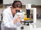 Female science student looking in a microscope