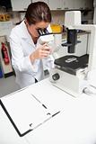 Portrait of a female science student looking in a microscope
