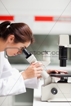 Portrait of a female scientist looking in a microscope