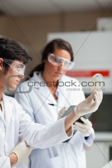 Portrait of science students looking at Petri dish