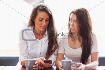 Beautiful friends looking at a smartphone