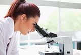 Brunette looking into a microscope
