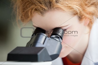 Close up of a young student looking into a microscope