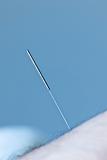 Acupuncture needle in skin