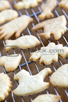 Cooling freshly baked cookies