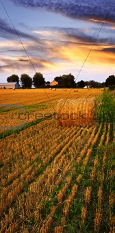 Golden sunset over farm field