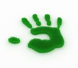 Hand print from grass