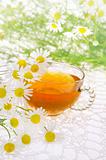 Cup of chamomile tea over white background
