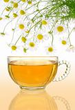 Cup of chamomile tea with fresh chamomile flowers over colored background