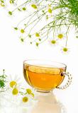 Cup of chamomile tea with fresh chamomile flowers over white background