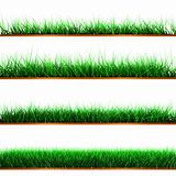 Samples of green color grass