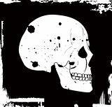 grunge vector skull