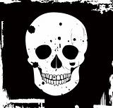 grunge vector skull