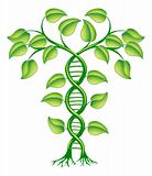 DNA plant concept