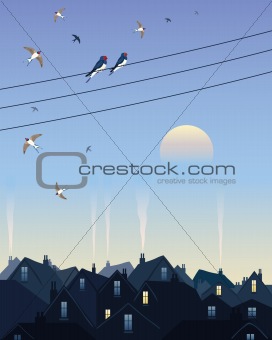 swallows leaving the city