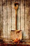 old fashion spade 