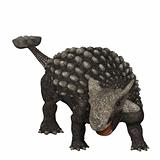 Ankylosaurus 01