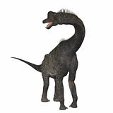 Brachiosaurus 01