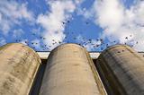 Silos and doves
