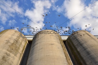 Silos and doves