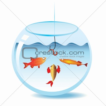 Fishing in fishbowl