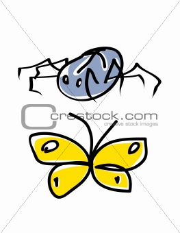 Spider and butterfly