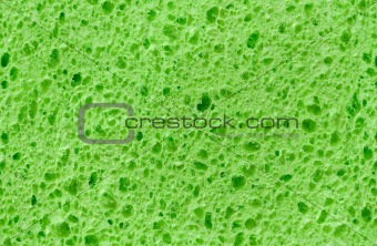 Cellulose foam sponge