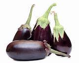 Black eggplant