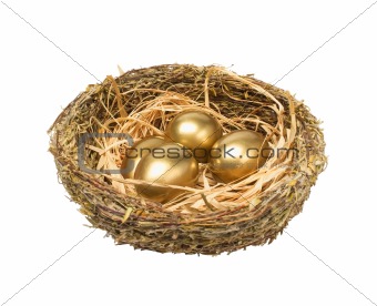 Four golden hen's eggs in the grassy nest isolated on white