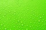 Beautiful green water drops background