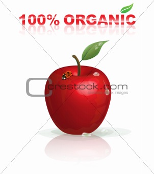 Organic apple