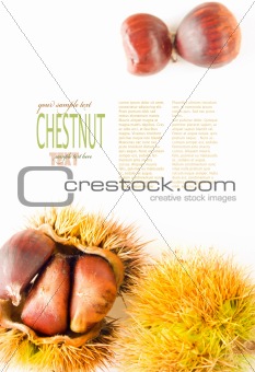 Chestnut background