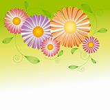 Springtime colorful flower greeting card