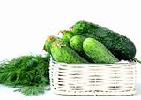 Harvest cucumbers and dill in a basket