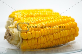 Corn Cobs on a glass plate closeup. Small DOF