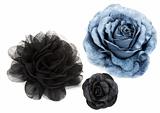 Two black and one blue flower rose from lace